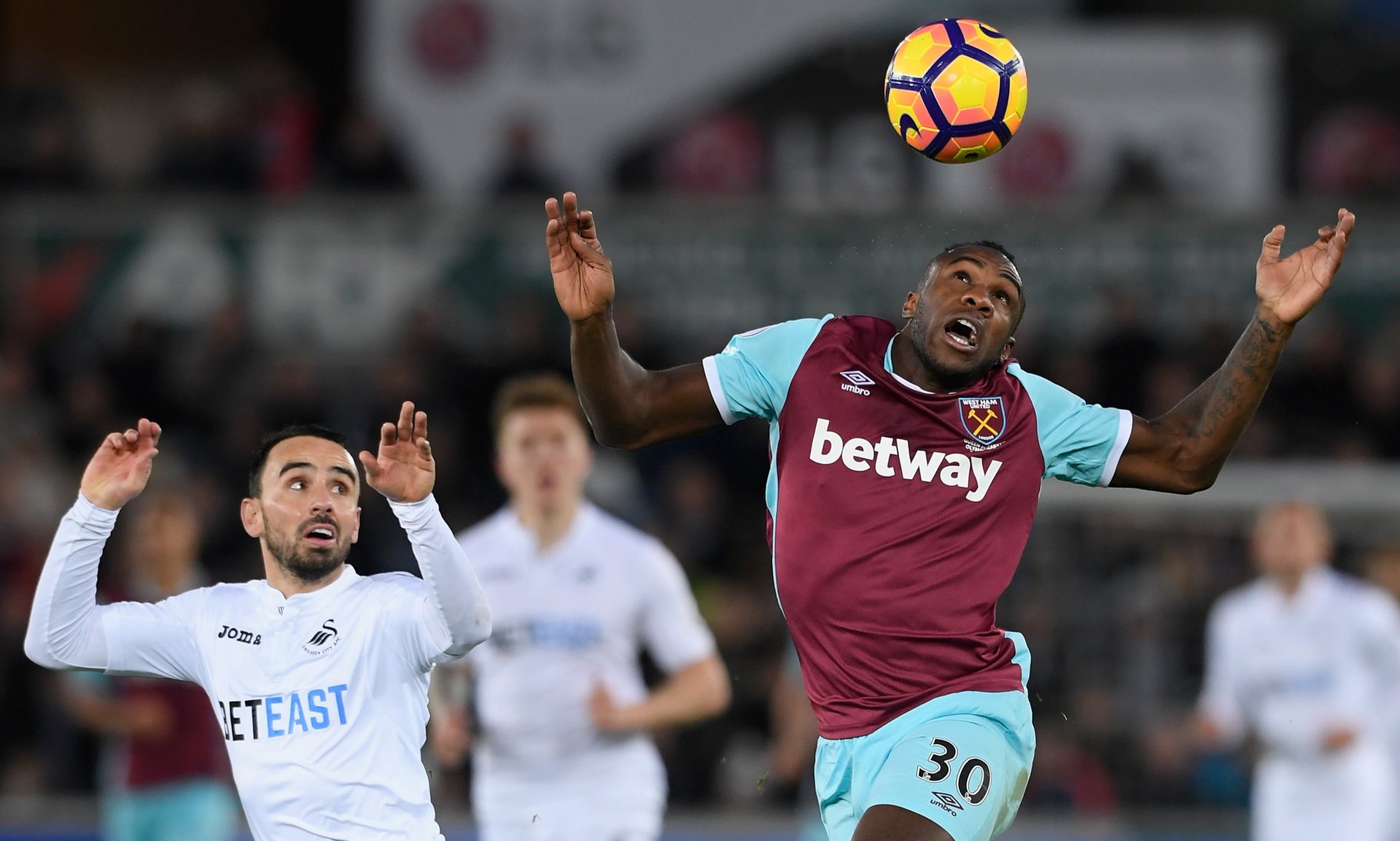 他们需要的 他们需要的